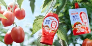 南方+“金牌莞味”深度揭秘：东莞番茄酱品牌凤球唛何以持续走俏全国？